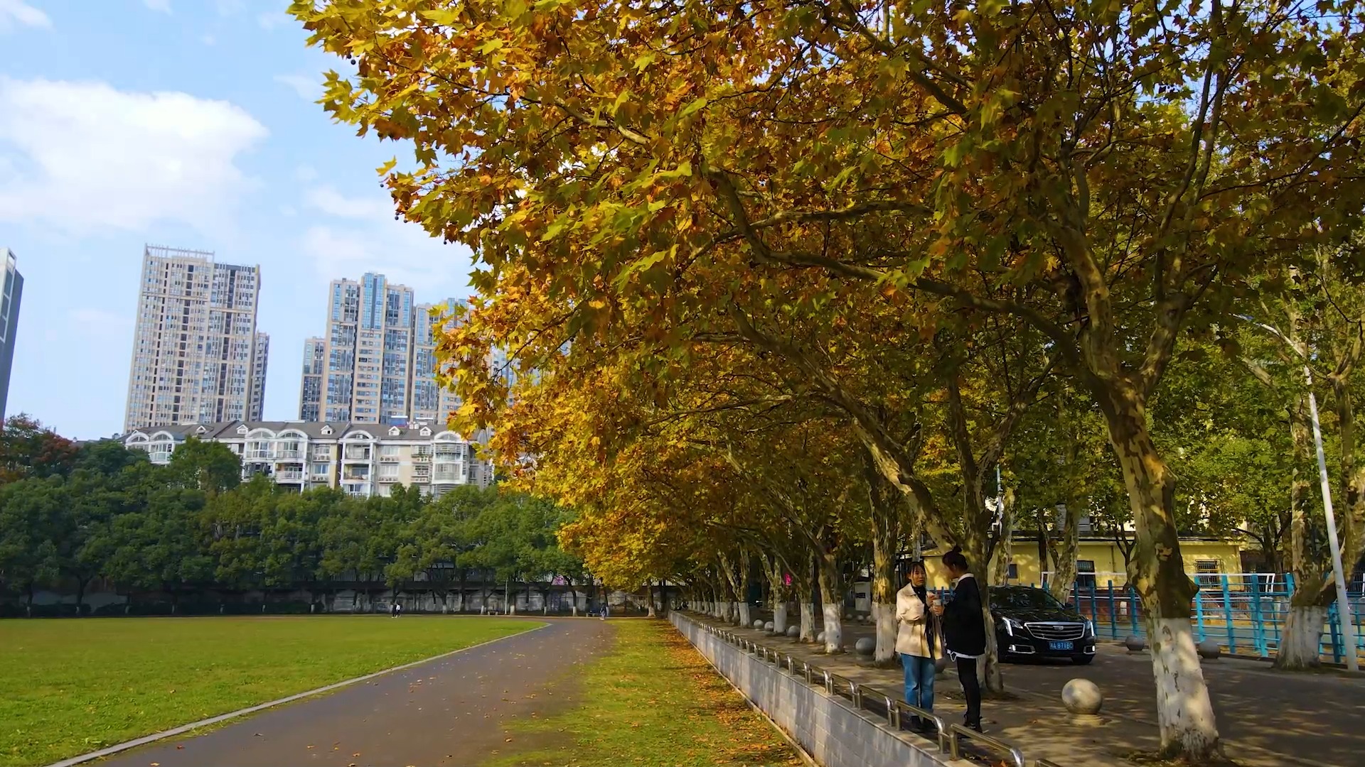 初冬,长沙铁道学院的梧桐路变成了金色林荫道