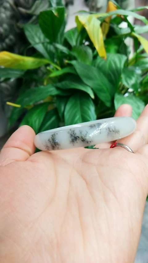 佘太玉水草 纯天然