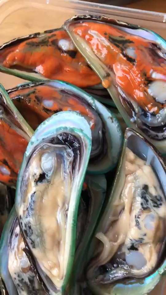 开边青口,适合烧烤