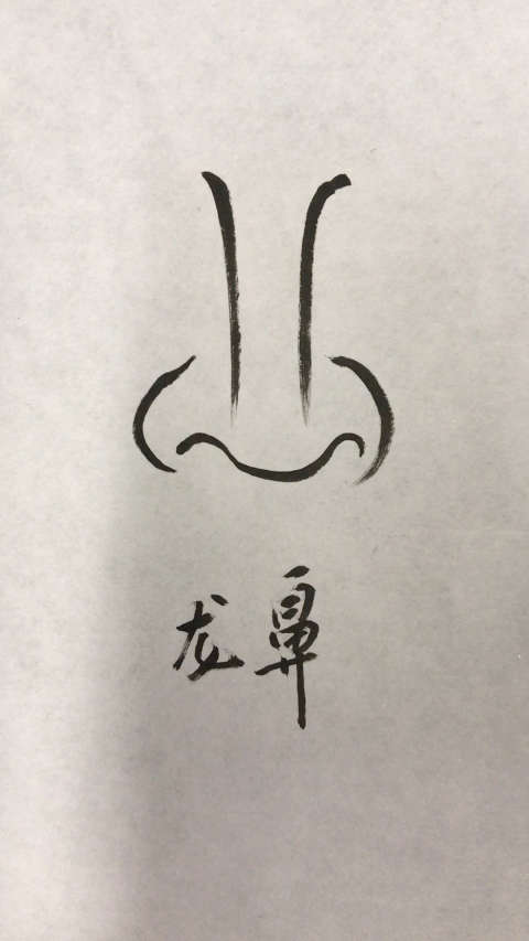 龙形鼻子的面相特征