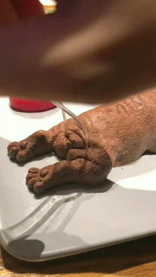 听说,吃狗屎会走狗屎运,狗哥狗哥,明天能不能中500万就全靠你了.