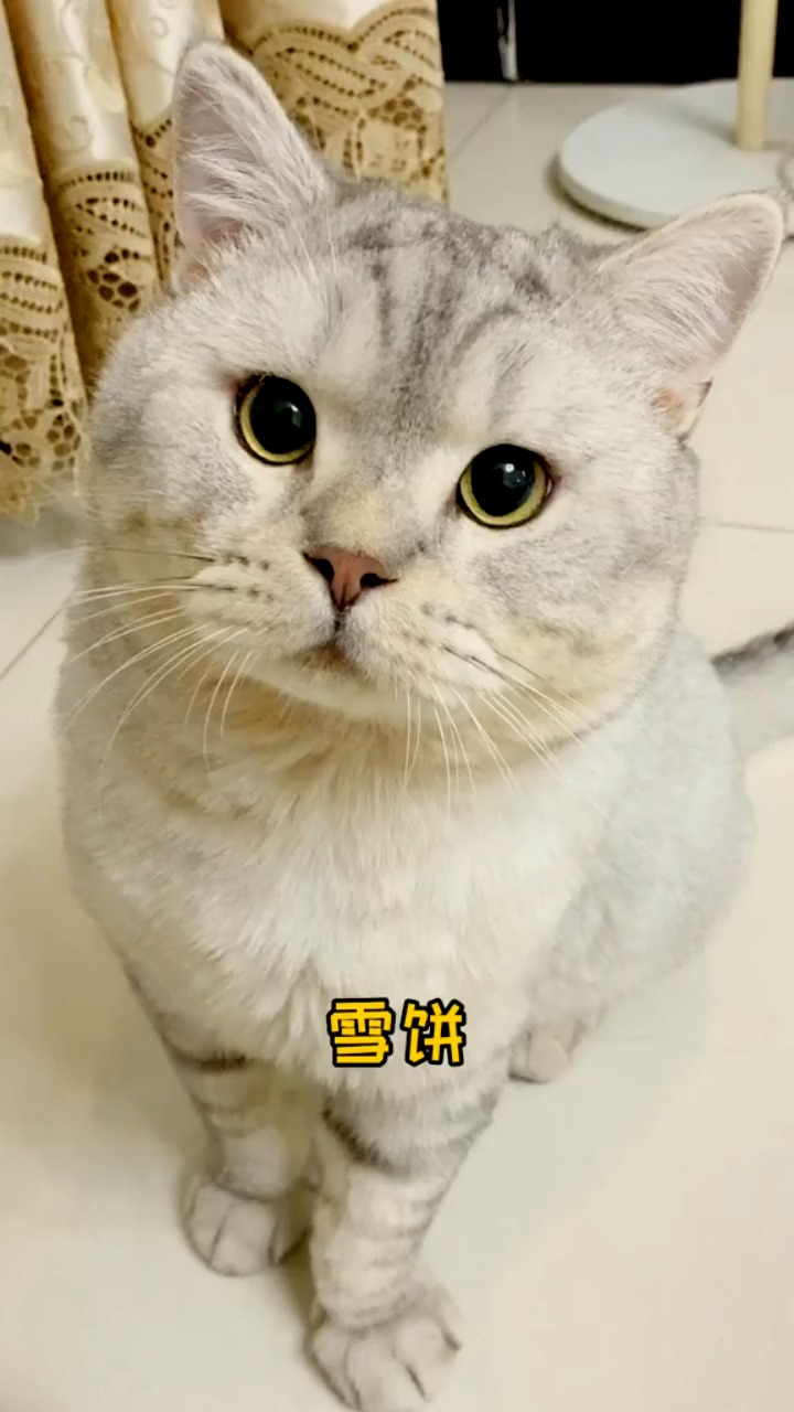 看到喜欢的人,一个眼神就足够了