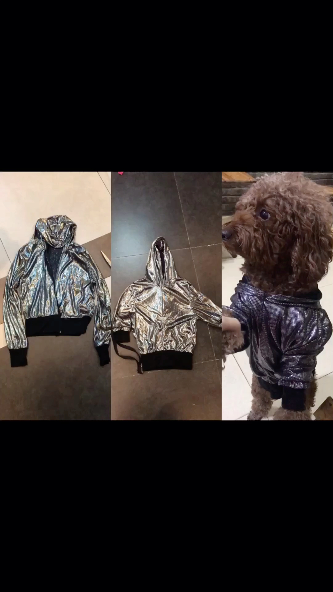 衣柜里的旧衣服,这么改了给狗子穿 很时尚