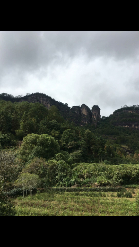 武夷山寻茶,三姑石山上风景优美!空气清新,出好茶,喝好茶的山头就在这