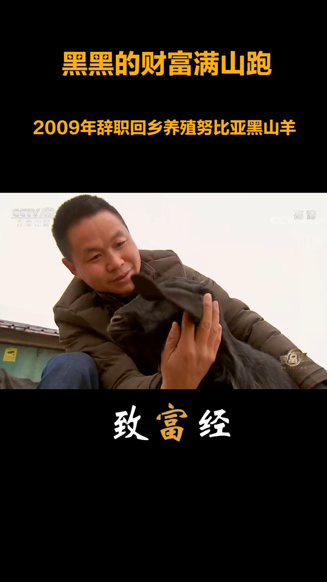 致富经2009(致富经2009 205)