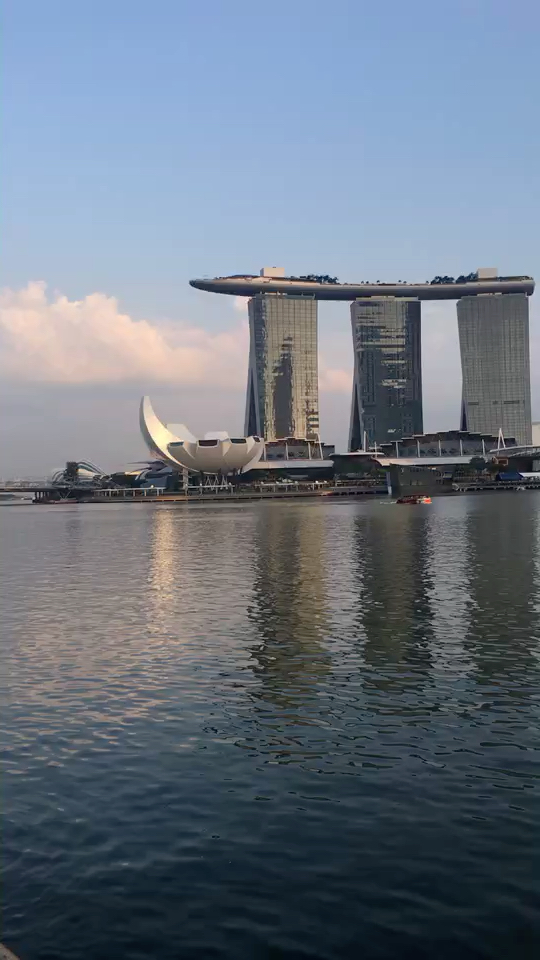 新加坡旅游必到之地 金沙帆船酒店～鱼尾狮～榴莲壳～滨海湾花园都在