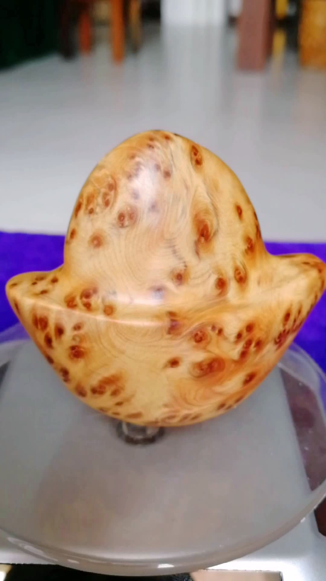 太行崖柏满瘤大元宝