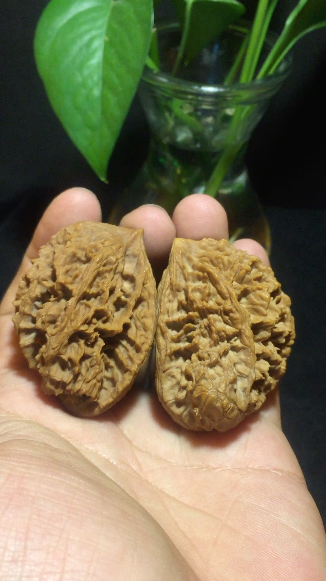 文玩核桃大刺猬