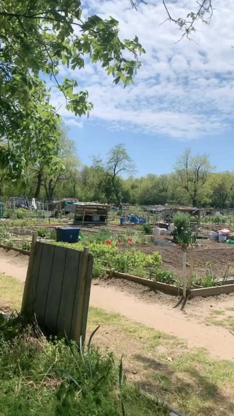 这是美国的农村生活,这也真是太漂亮了啊!