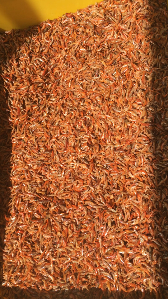 宜春野生小米虾 干净无污染乡下小河里捞的 晒得特别干 补钙 下酒小菜