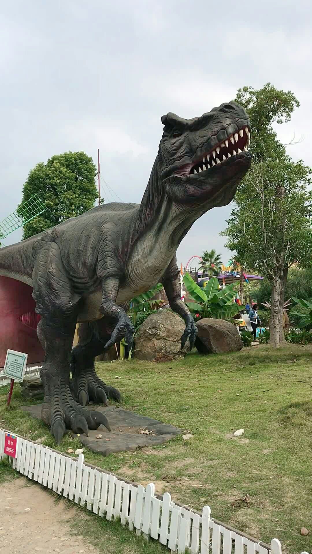 武汉欢乐谷的恐龙,竟然会动,刚看到时吓我一跳9898@{uid