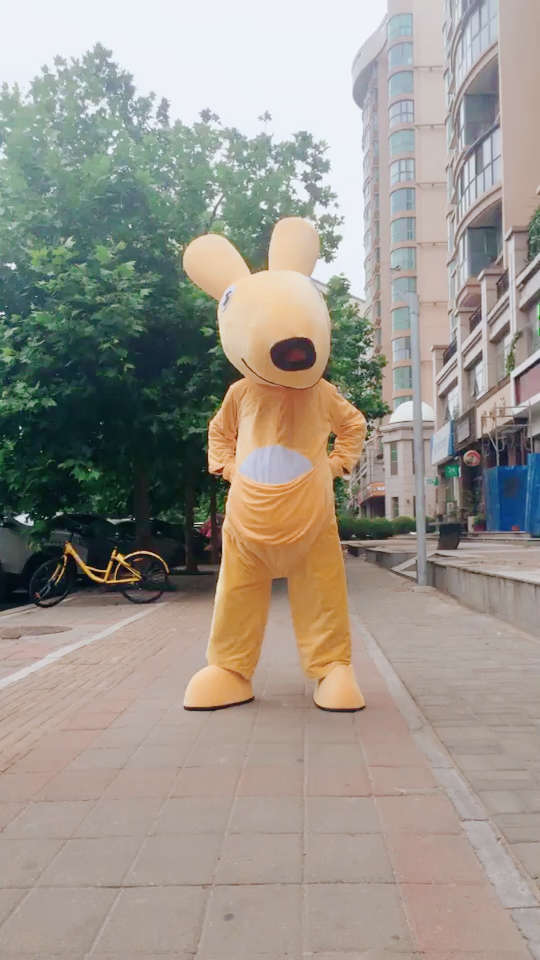 这么可爱的袋鼠君,跳起舞来萌炸了7215