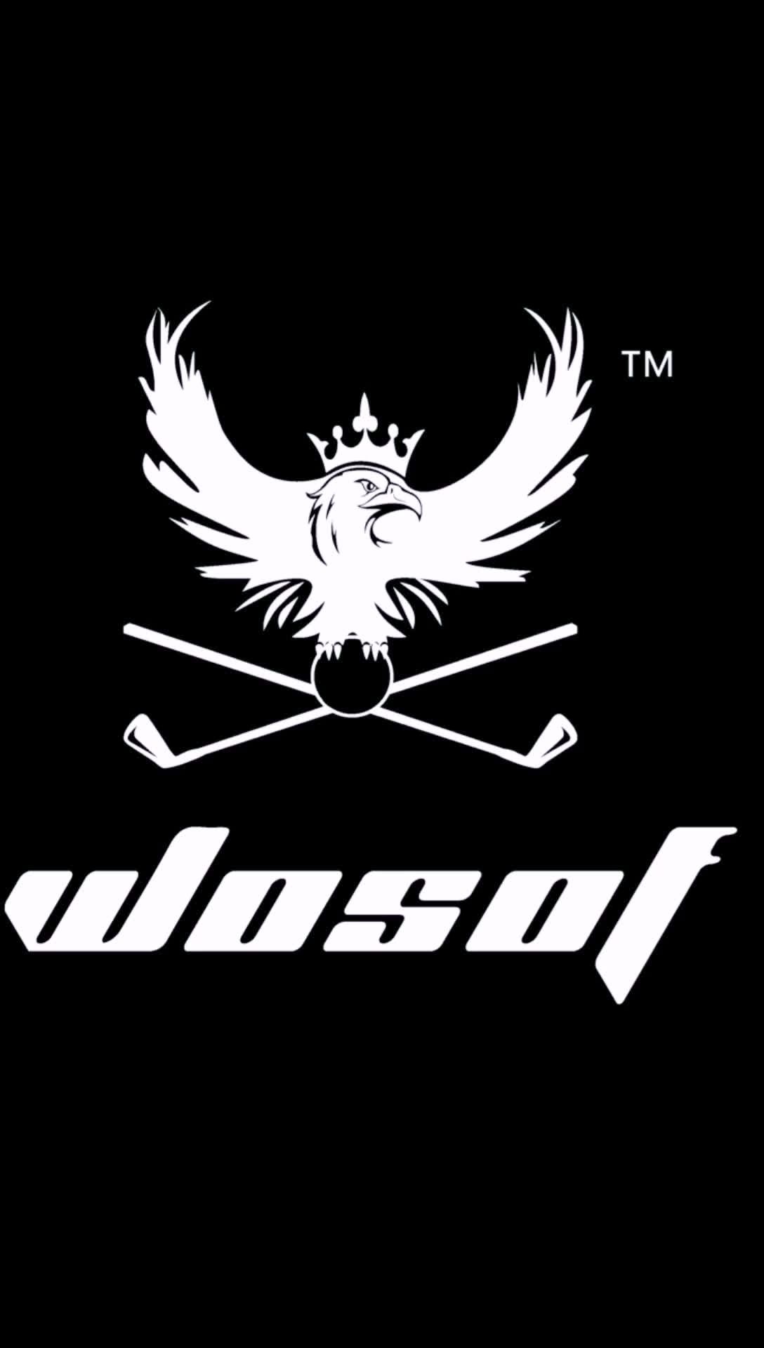 wosofe高尔夫沙杆的介绍,希望有更多的老外会喜欢它