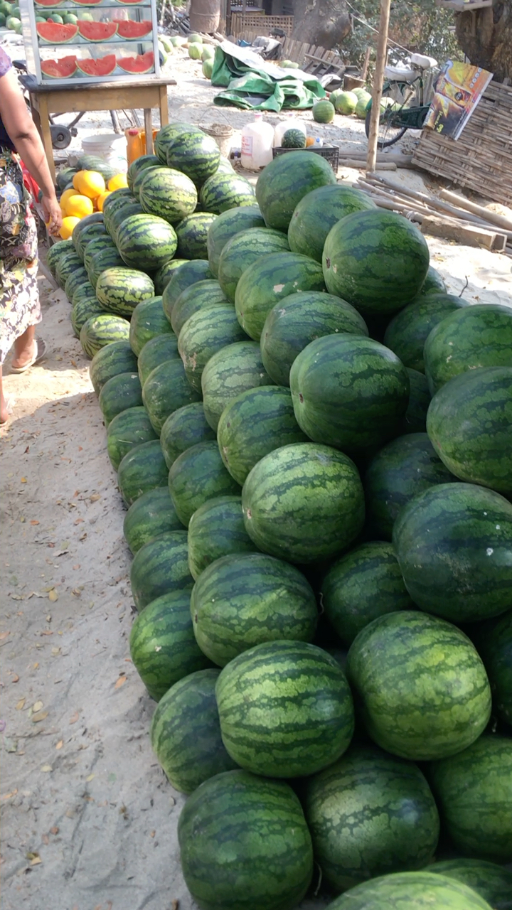 这个缅甸西瓜~确实好吃~又大又甜~还便宜