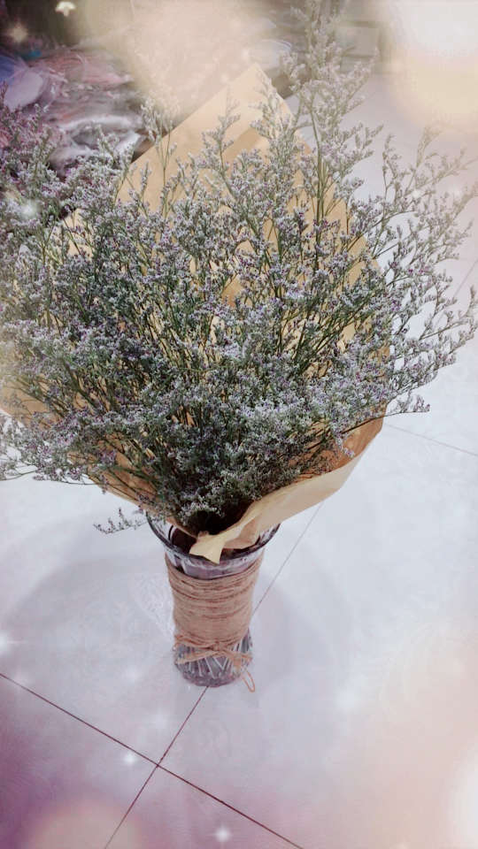 好看吗?干花情人草