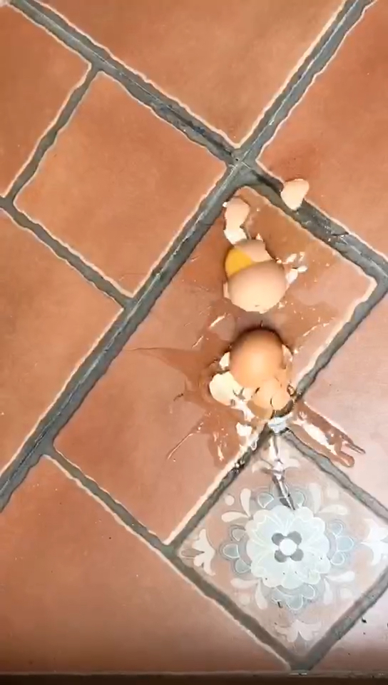 被踢蛋碎,再也不这么做了!