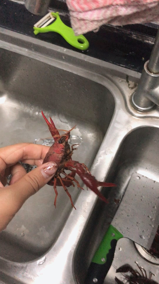 清洗小龙虾 被一只砍了头的小龙虾夹破了手 难过