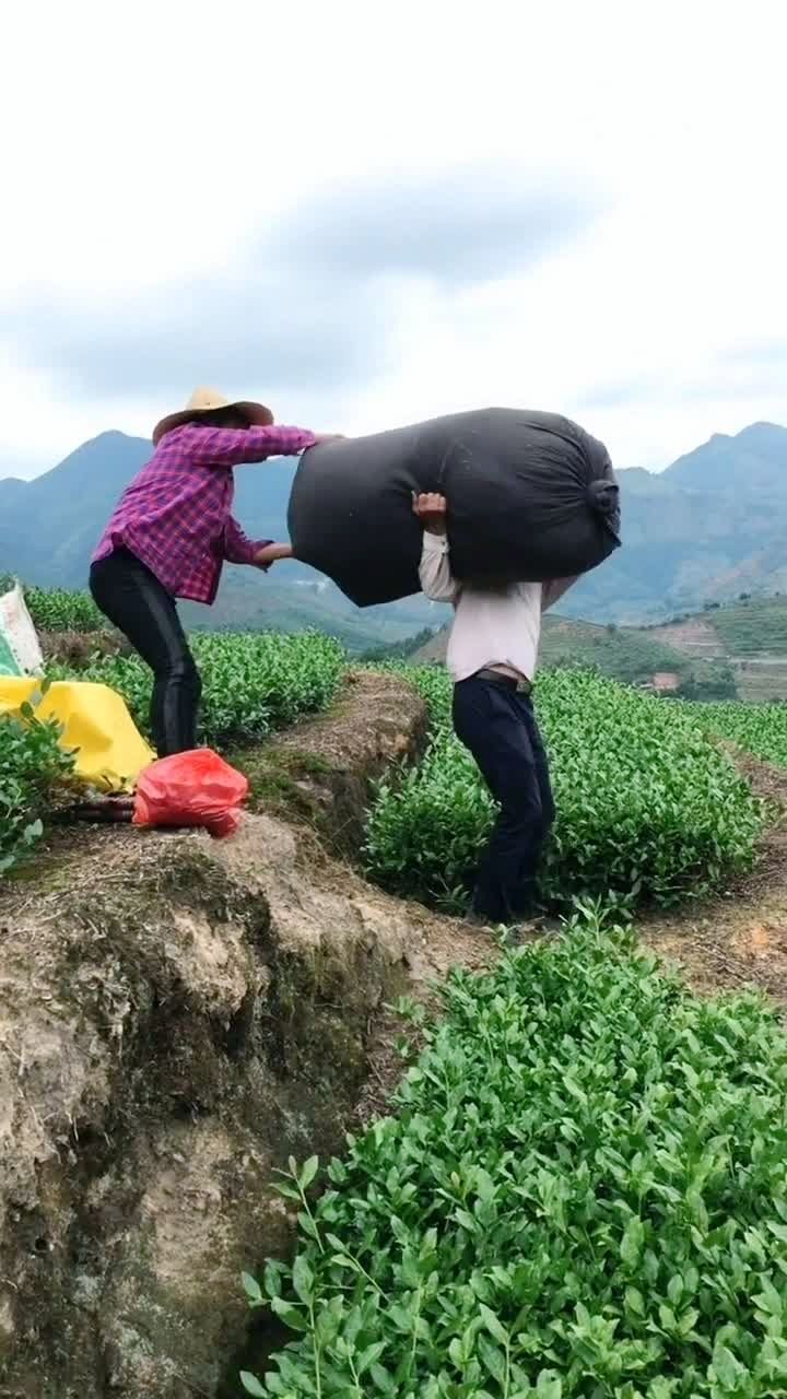 男人不怕苦也不怕输,农村顶天立地男子汉