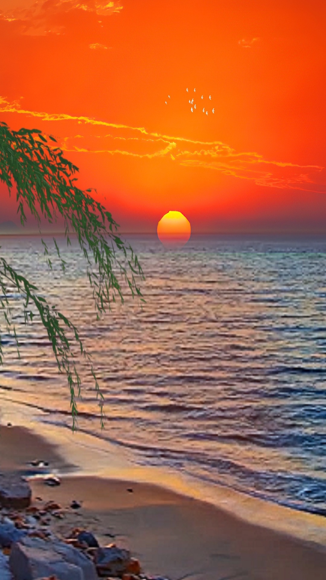 风景#晚霞#大海#醉美晚霞 #海边日落晚霞