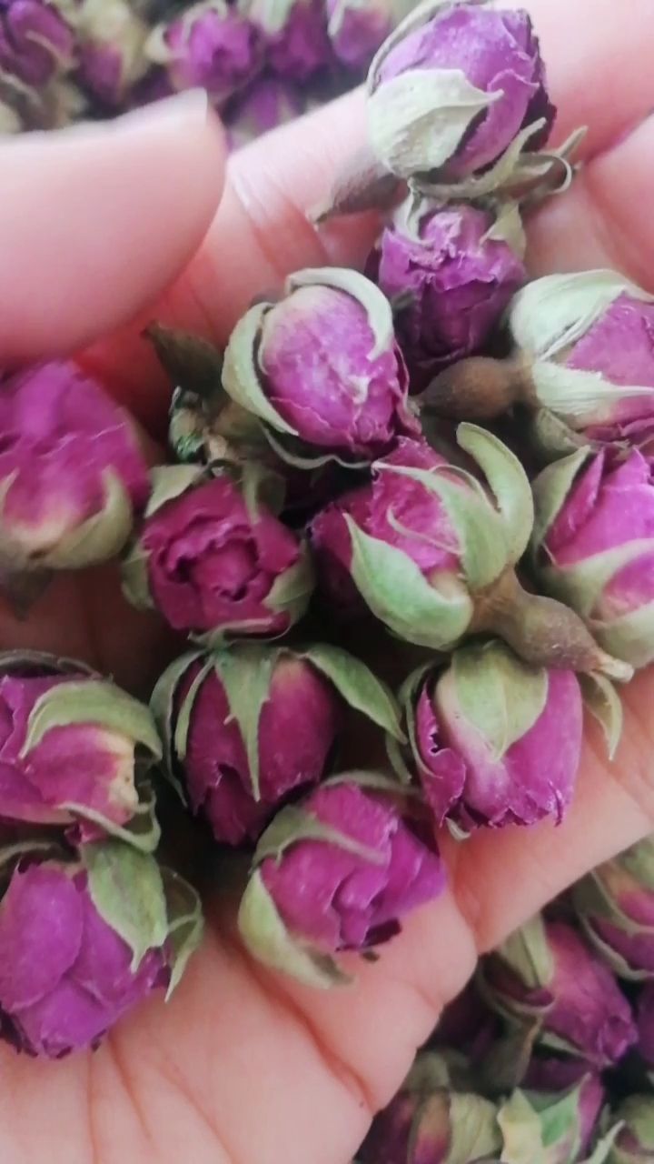 新疆和田大马士革玫瑰花,微信电话同步18690376326