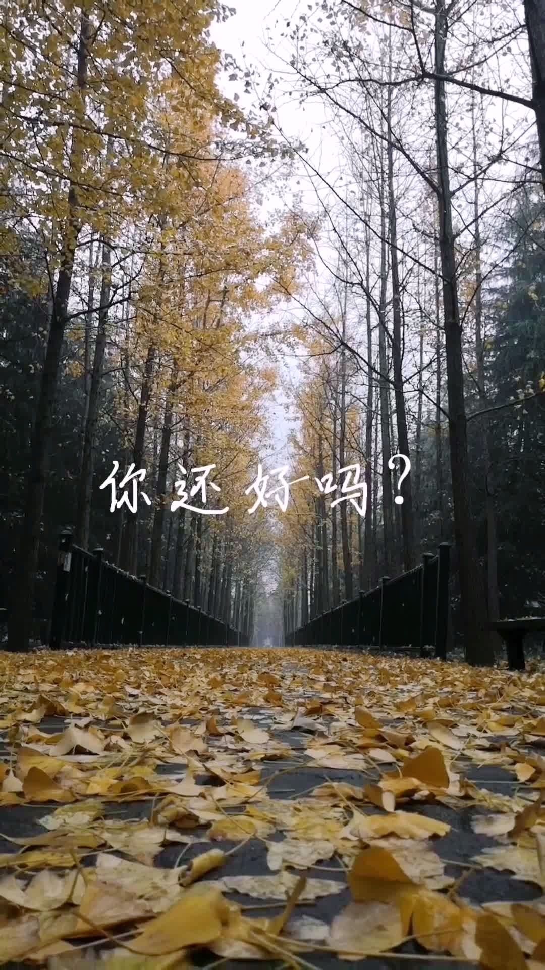 我亲爱的朋友你还好吗?