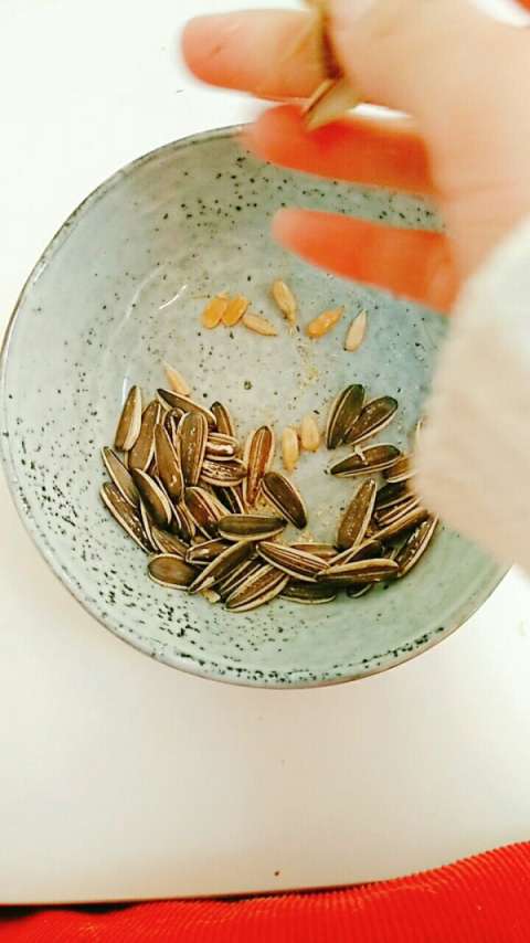 单手剥瓜子,左手录右手一镜到底,多年吃瓜子不伤牙的秘密,如果用两只