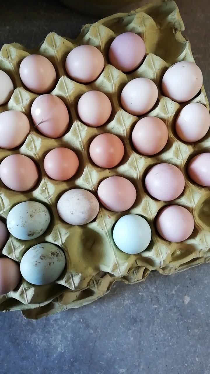 才捡回来的新鲜土鸡蛋发货