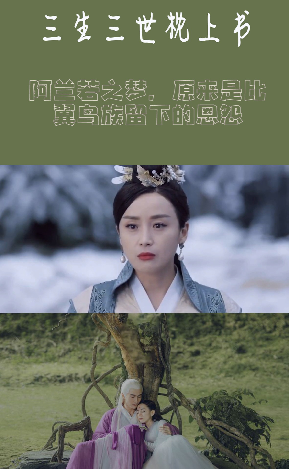 阿兰若之梦,原来是比翼鸟族留下的恩怨