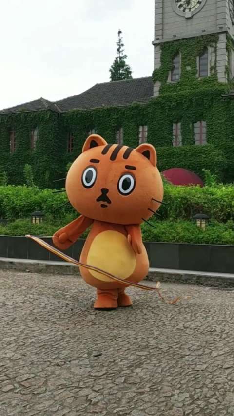 祝祖国妈妈,万年昌盛~15(29 07 0607)16猫小乖试着挑战