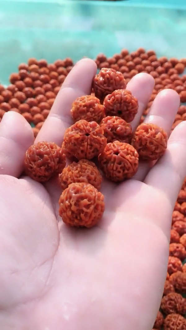 深度清理干净  牛津红的皮质