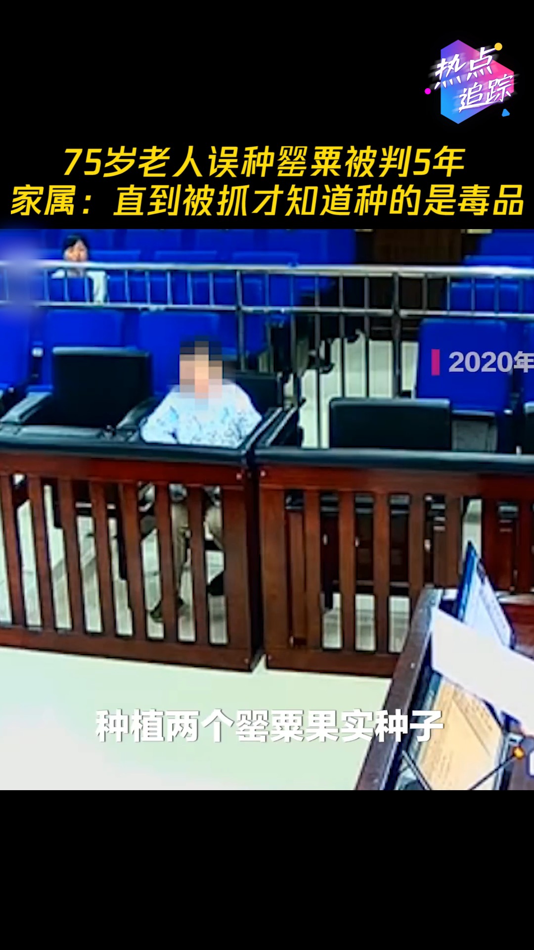 75岁老人误种罂粟被判5年   家属:直到被抓才知道种的是毒品