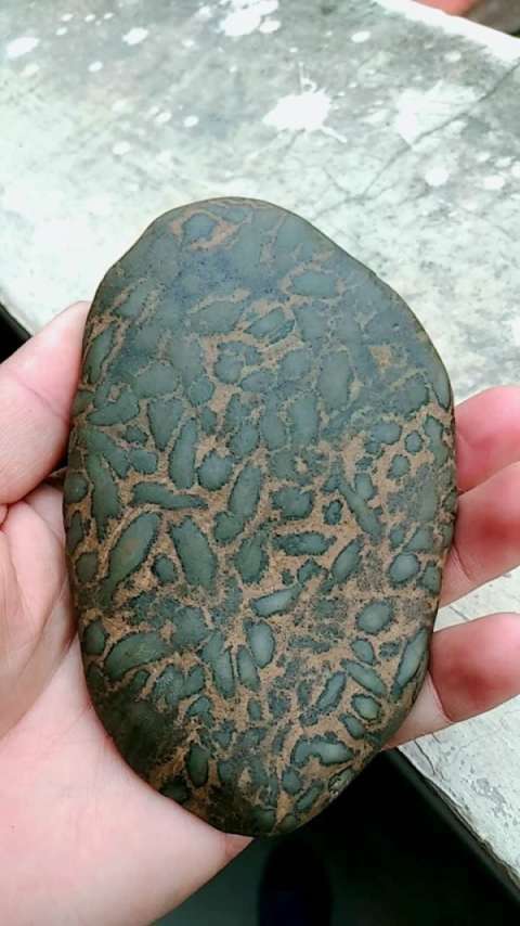 米粒石,就像布满米饭而得此名.