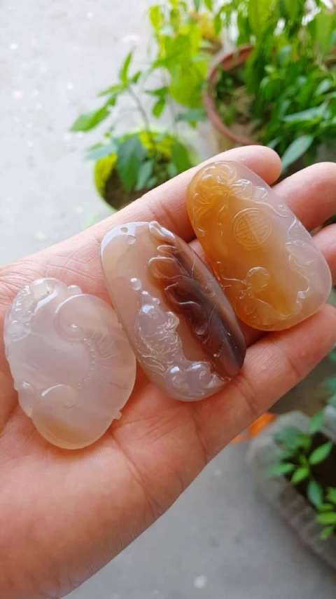 天然树化玉吊坠,亿万年前是有树木的树木!