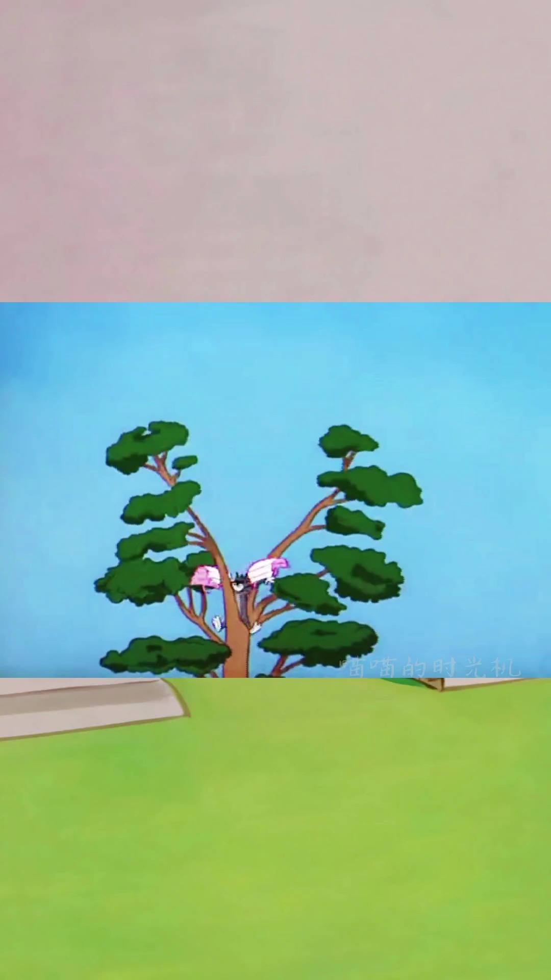 猫和老鼠名场面,汤姆胯劈大树#搞笑动画