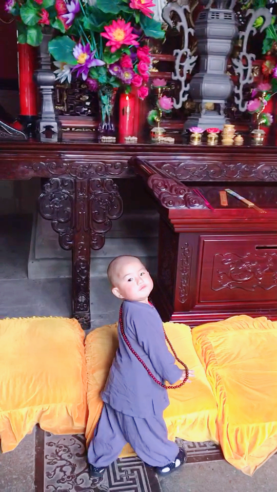 一明小和尚 快跟我一起来礼佛吧05顶礼南无本师释迦牟尼佛