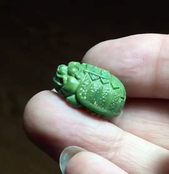 绿松石龙龟