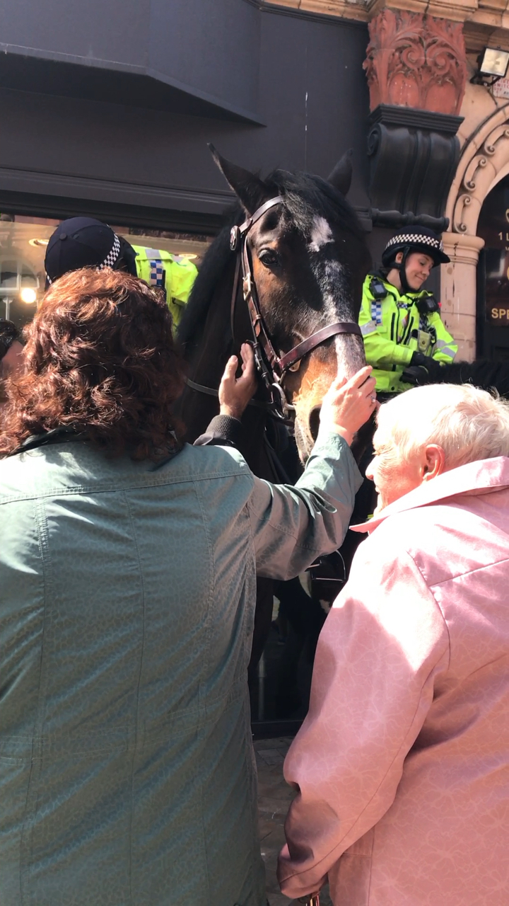 英国女骑警 帅炸了!马也超乖随便摸