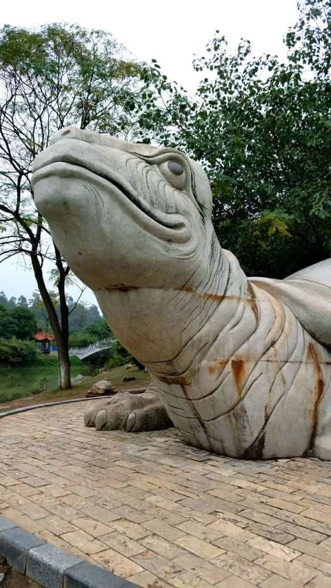 知道这千年石龟有多重吗?