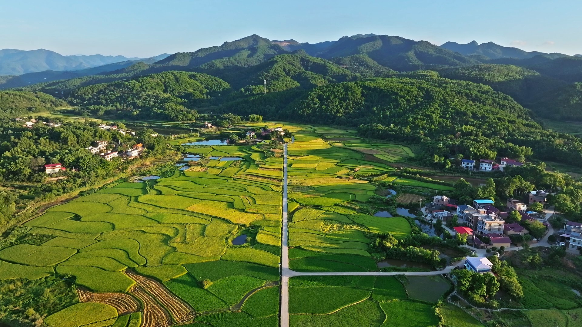 东安县 #石板铺 #田园风光 乡野田间 稻田风光