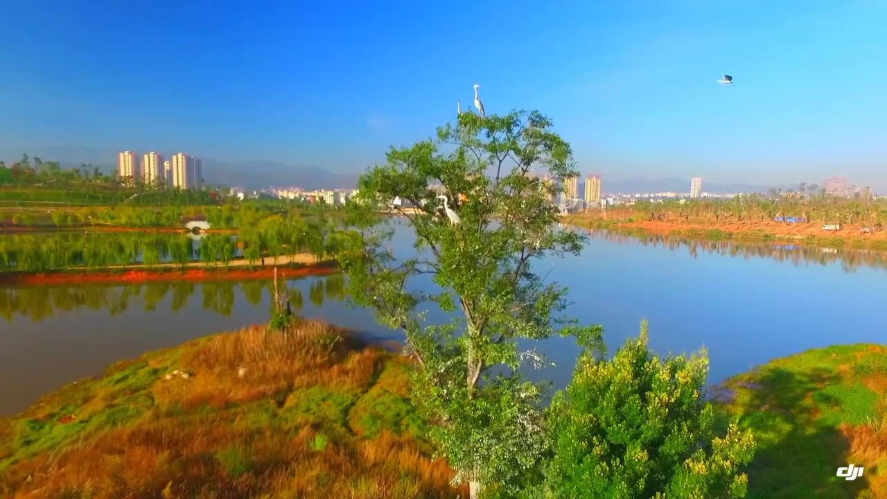 楚雄彝海公园全景图片