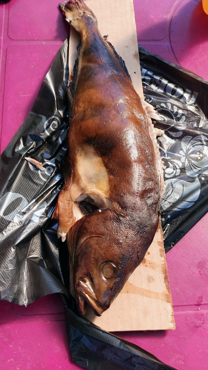 俄罗斯#圣彼得堡 最好吃的烤鱼大家了解一下 小编驱车50公里专门莱栽