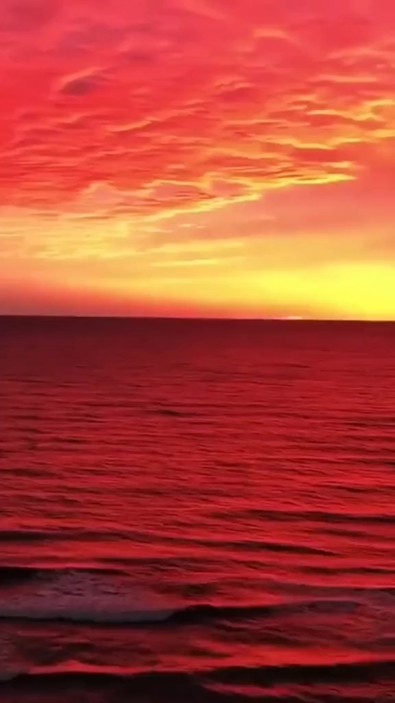 祝所有划过的朋友们日子过得红红火火#航海之路 #深海