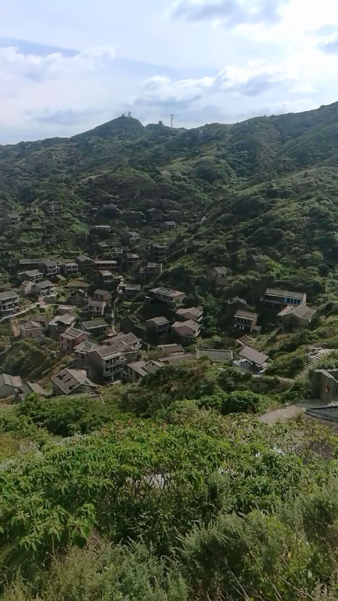 嵊泗列岛无人村,村民搬迁多年后,整个村里的房子爬满了青藤.