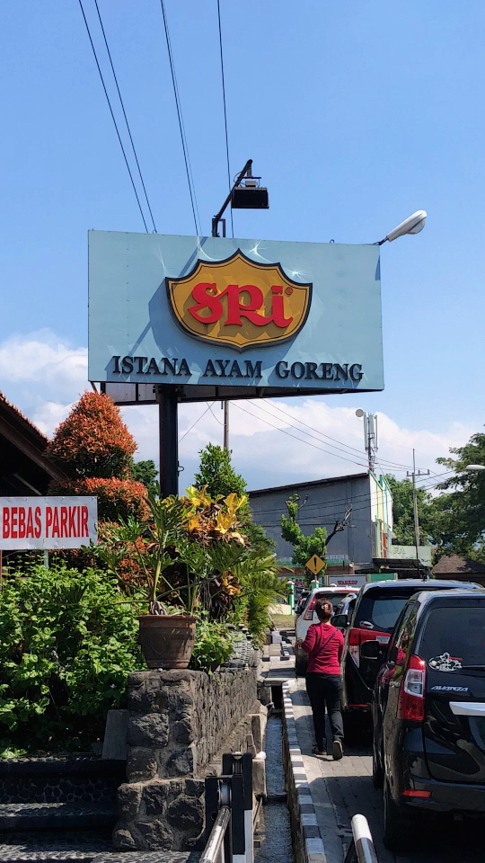 印度尼西亚9499sri istana ayam goreng 网红餐馆999999