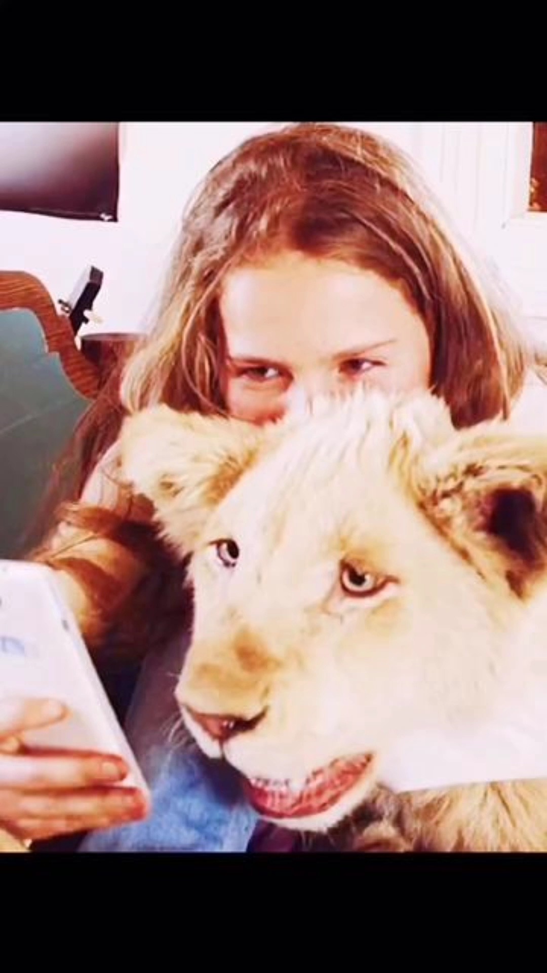 女孩养了一只大白狮当宠物,别人都不敢靠近.#米娅和白狮