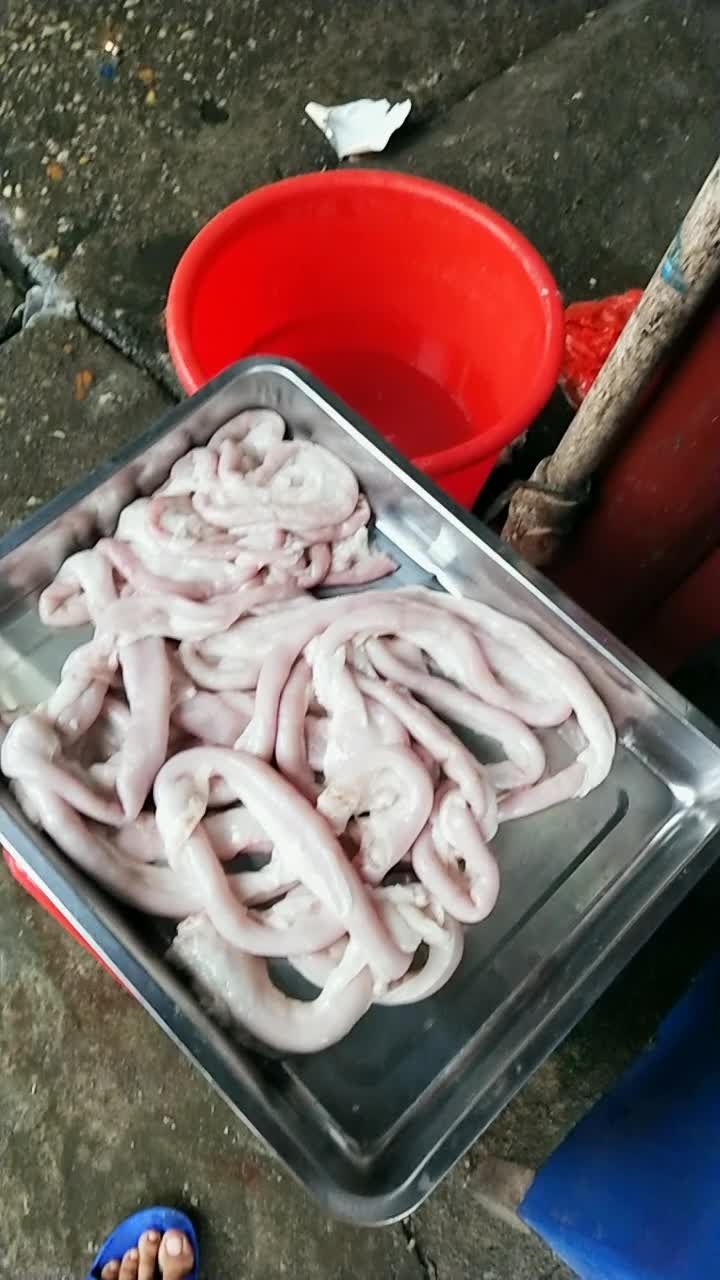 正宗沙虫肠,要的速度