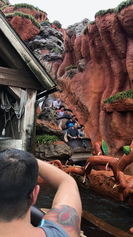 splash mountain,童年记忆中的激流勇进