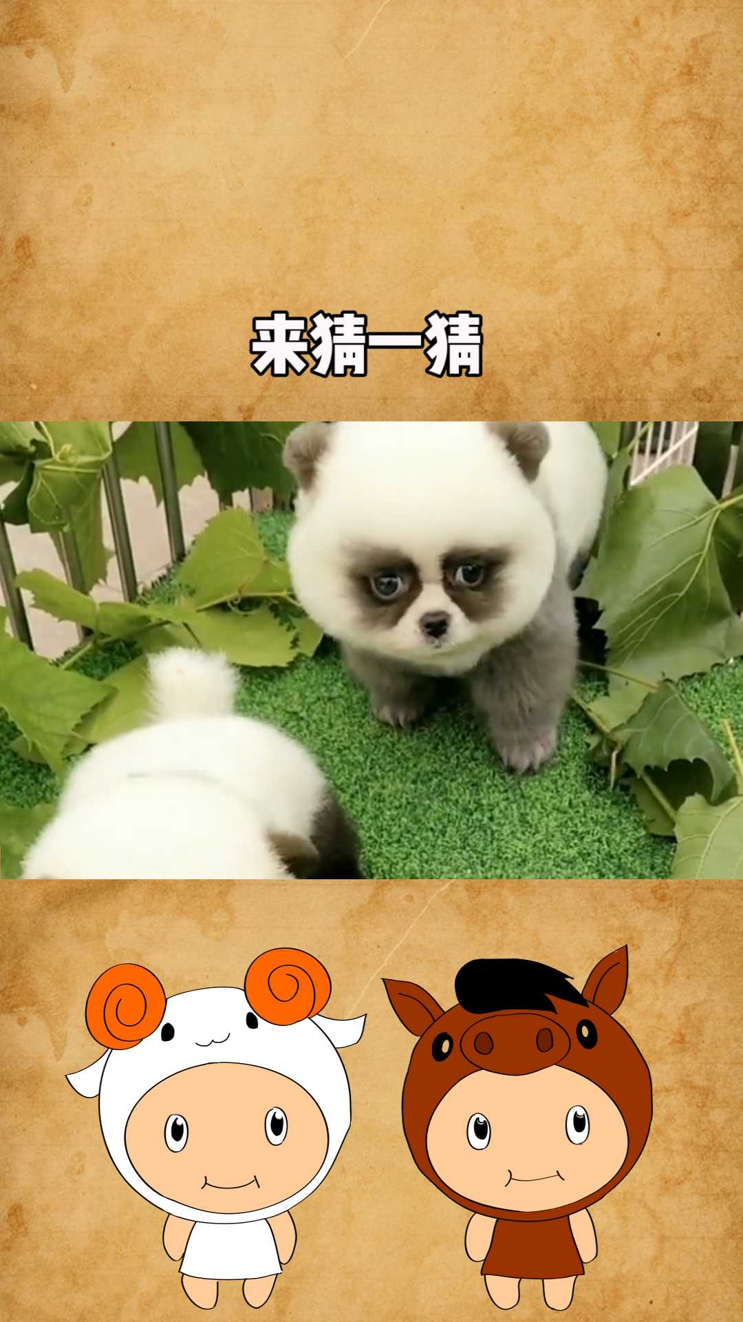 猜一猜这是什么