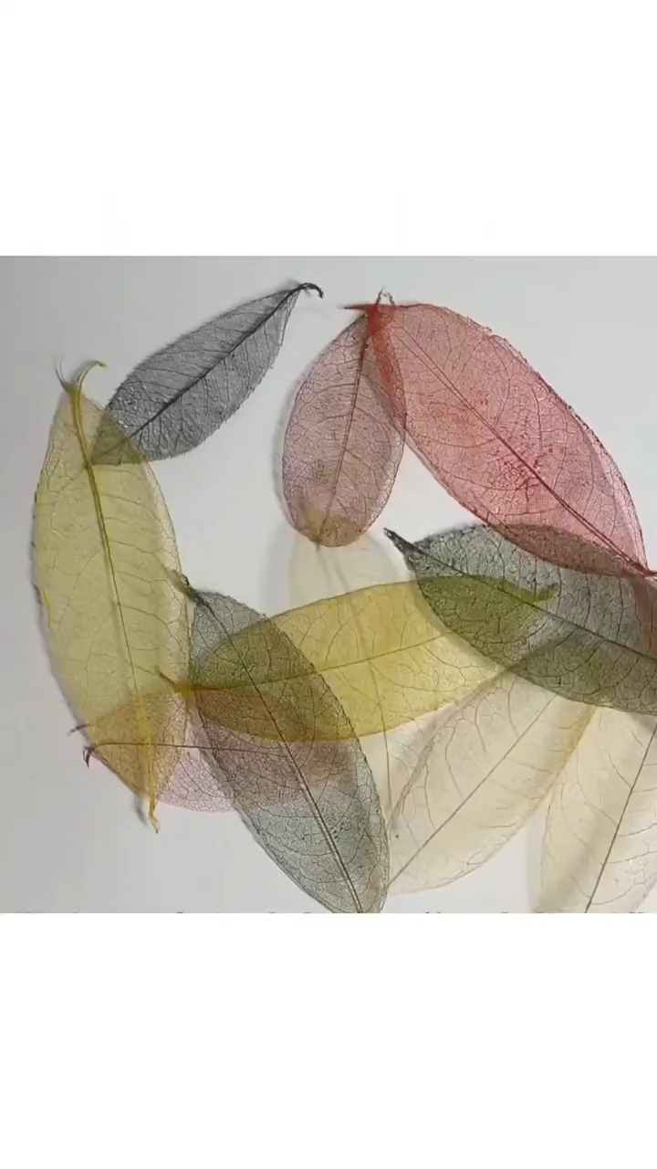 很有仪式感的叶脉书签