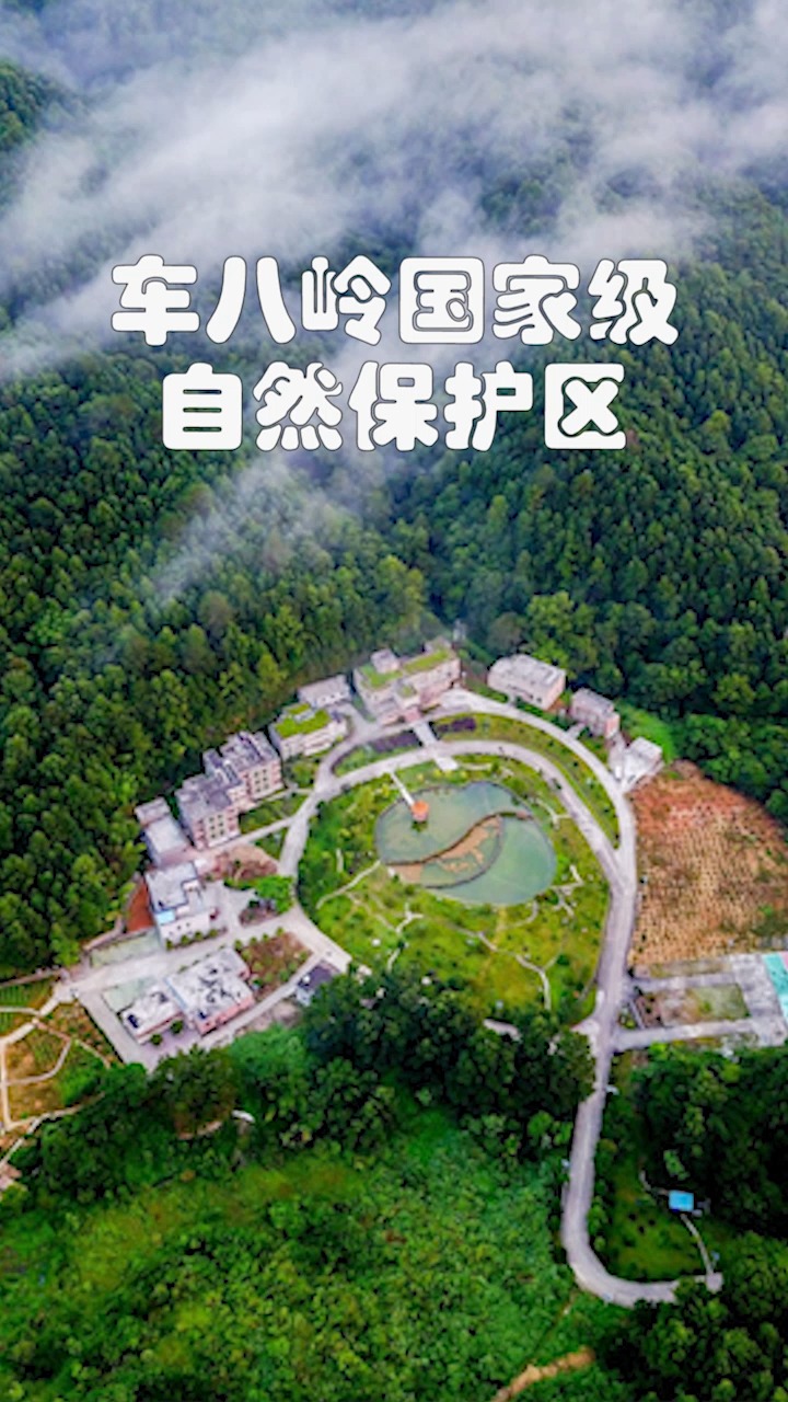 车八岭国家级自然保护区|物种宝库 南岭明珠